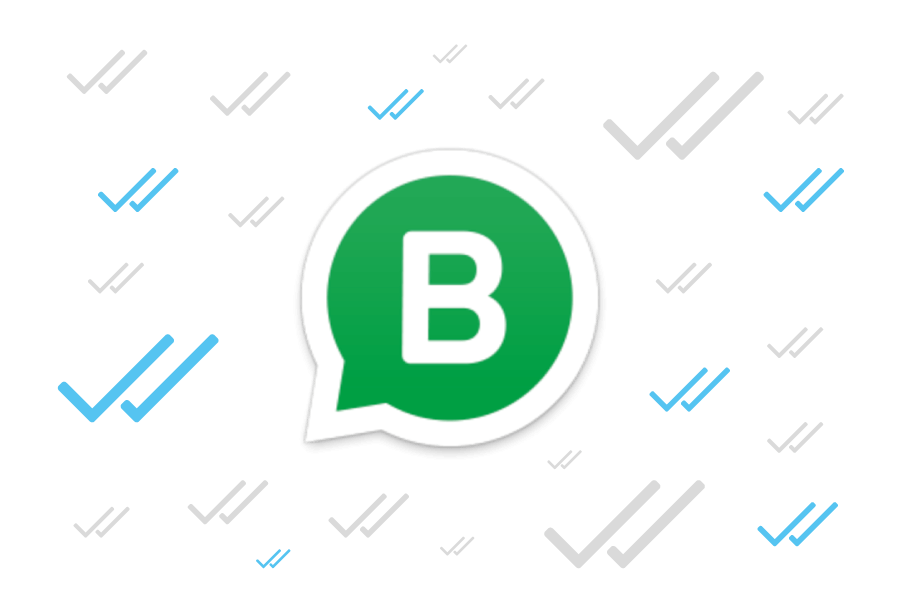 Come usare WhatsApp per le aziende a Venezia